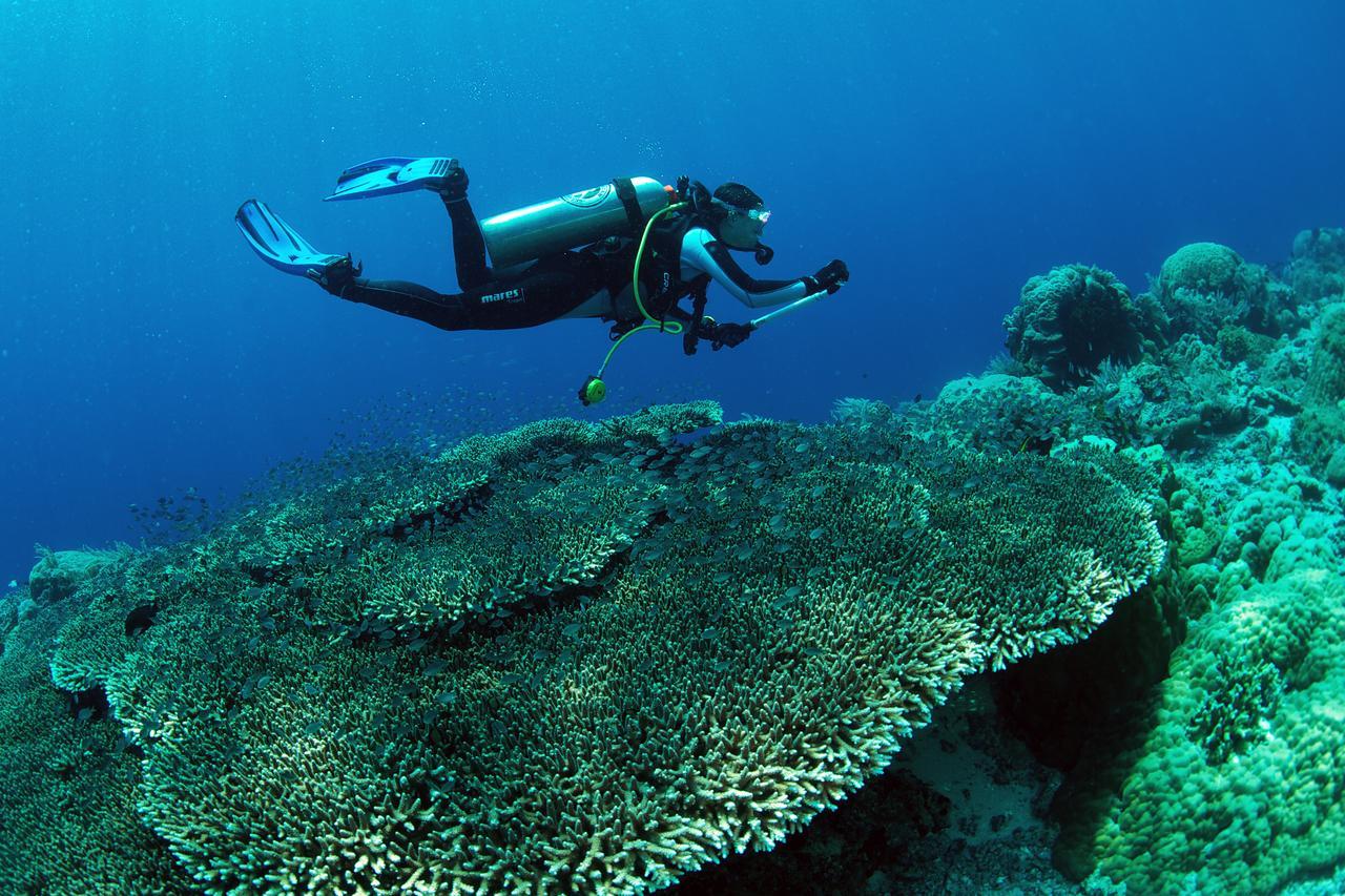 Murex Dive Resort Manado Exteriér fotografie